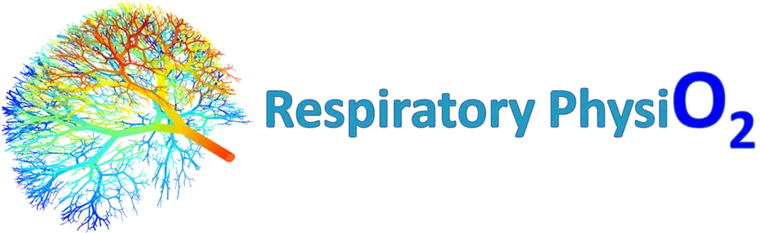 The old Respiratory PhysiO2 logo: a detailed rainbow lung tree beside the name in blue lettering